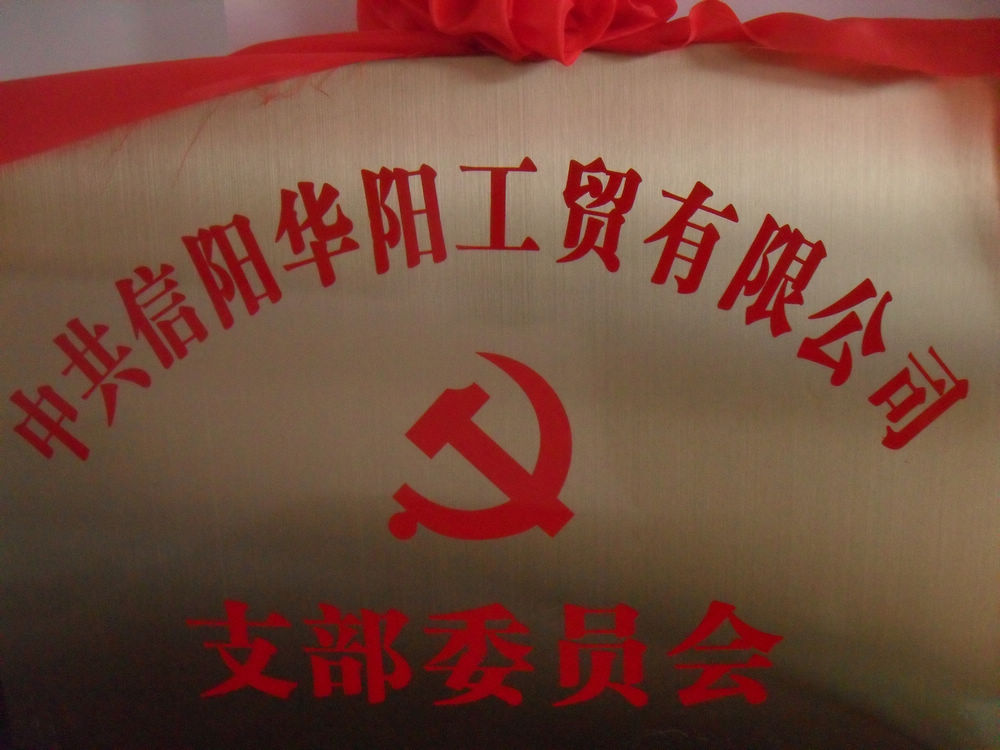 中國共產黨信陽市華陽工貿有限公司黨支部榮譽成立